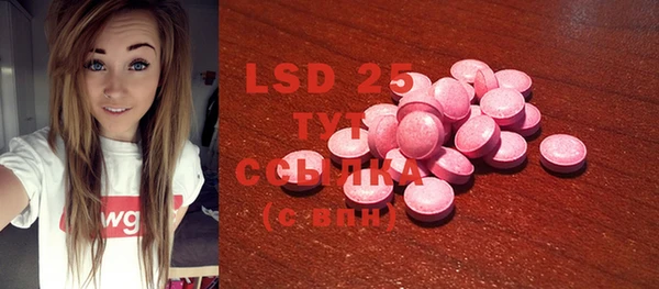 PSILOCYBIN Горняк