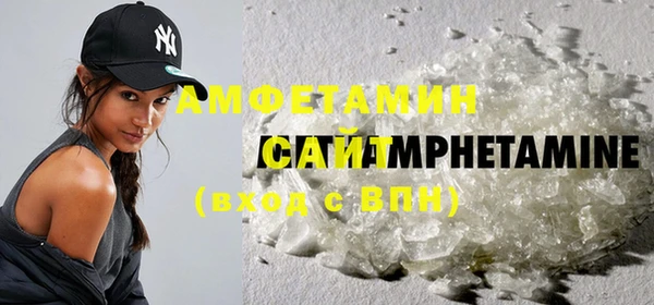 PSILOCYBIN Горняк